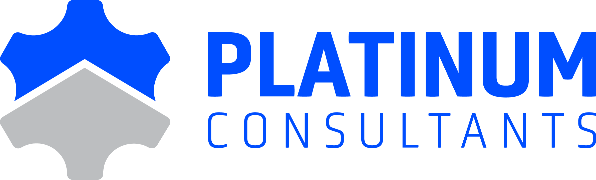 platinum consultants logo
